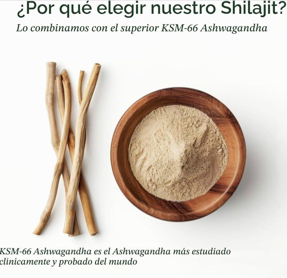 ROOT LABS Alpha Shilajit 10 en 1 Potenciado